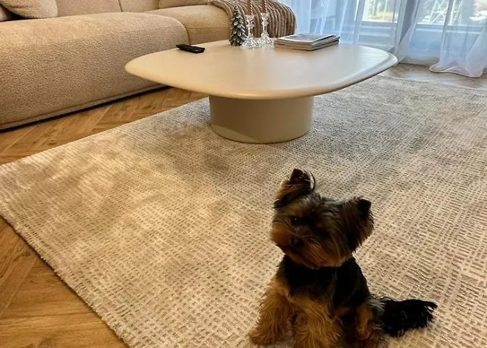 High End Elegant Living & Free Parking 소피아