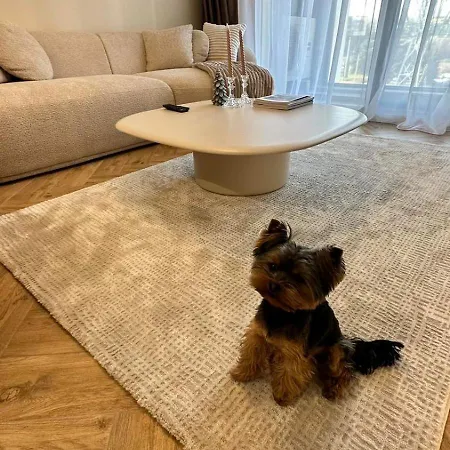 High End Elegant Living & Free Parking Sofie